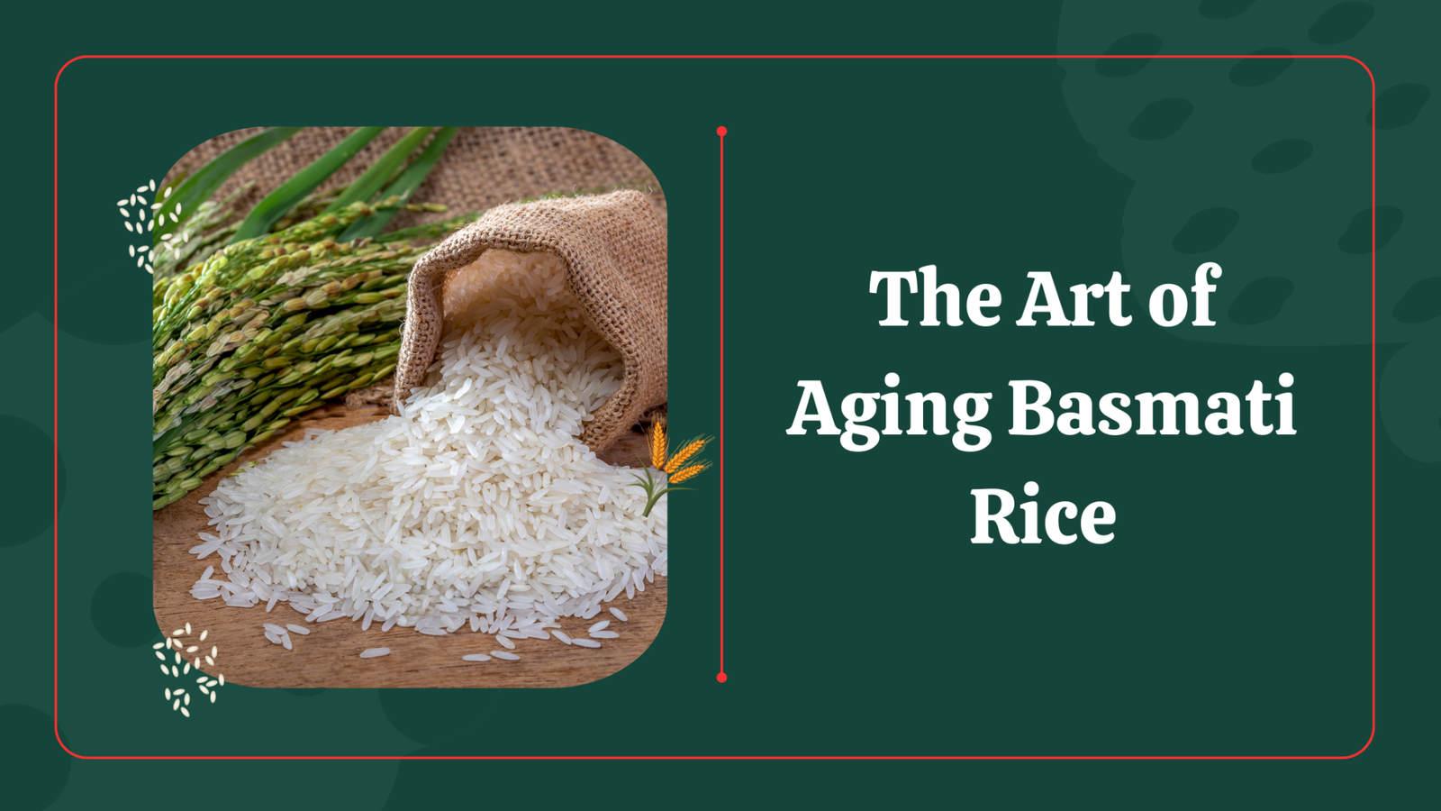 The Perfect Rice to Water Ratio – Foodex Agro India